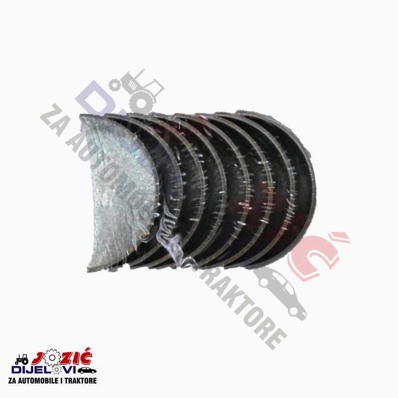 Daisy on the Ohoopee